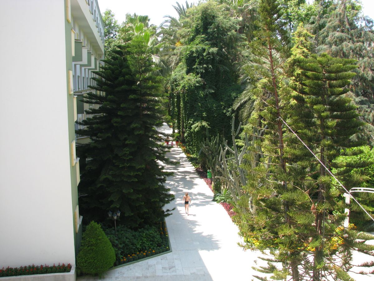 imagini hotel DELPHIN BOTANIK